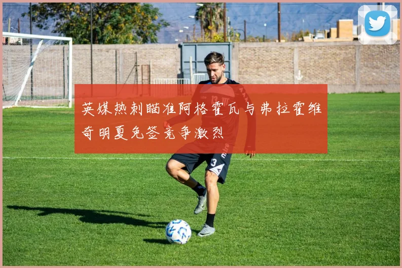 英媒热刺瞄准阿格霍瓦与弗拉霍维奇明夏免签竞争激烈