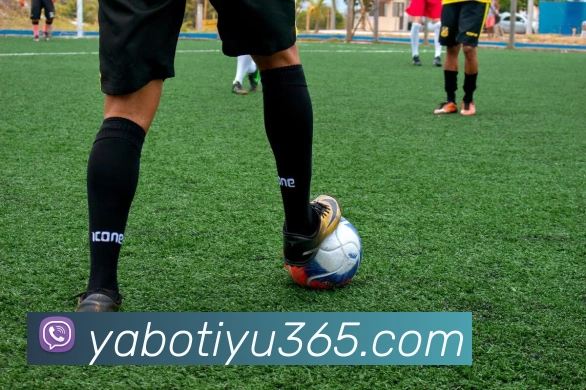 亚博体育发展历程